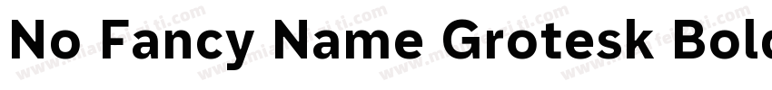 No Fancy Name Grotesk Bold字体转换